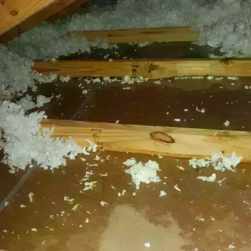 Attic Water Damage in Copiah County, MS